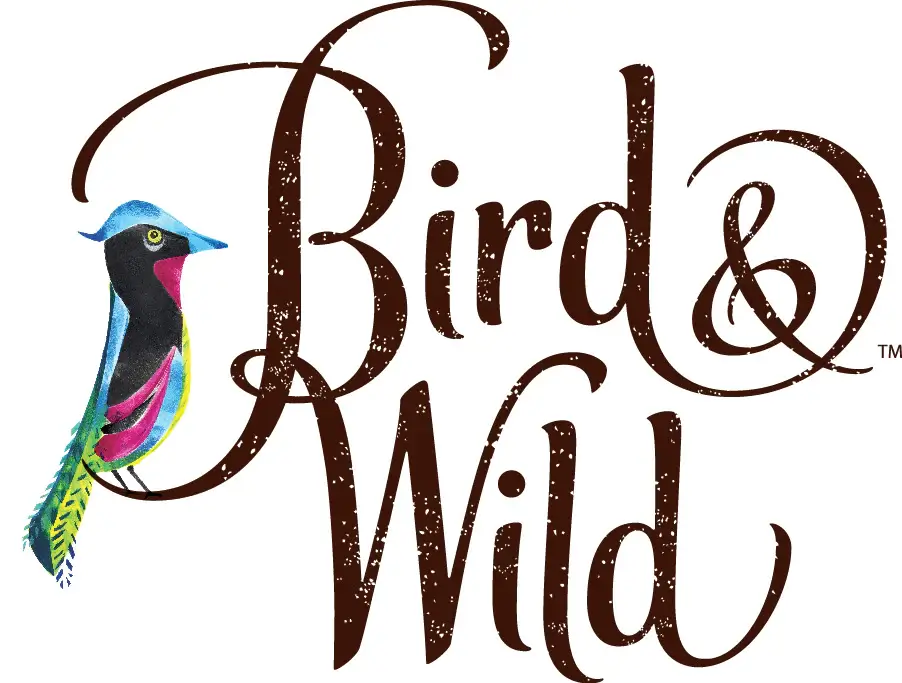 bird wild